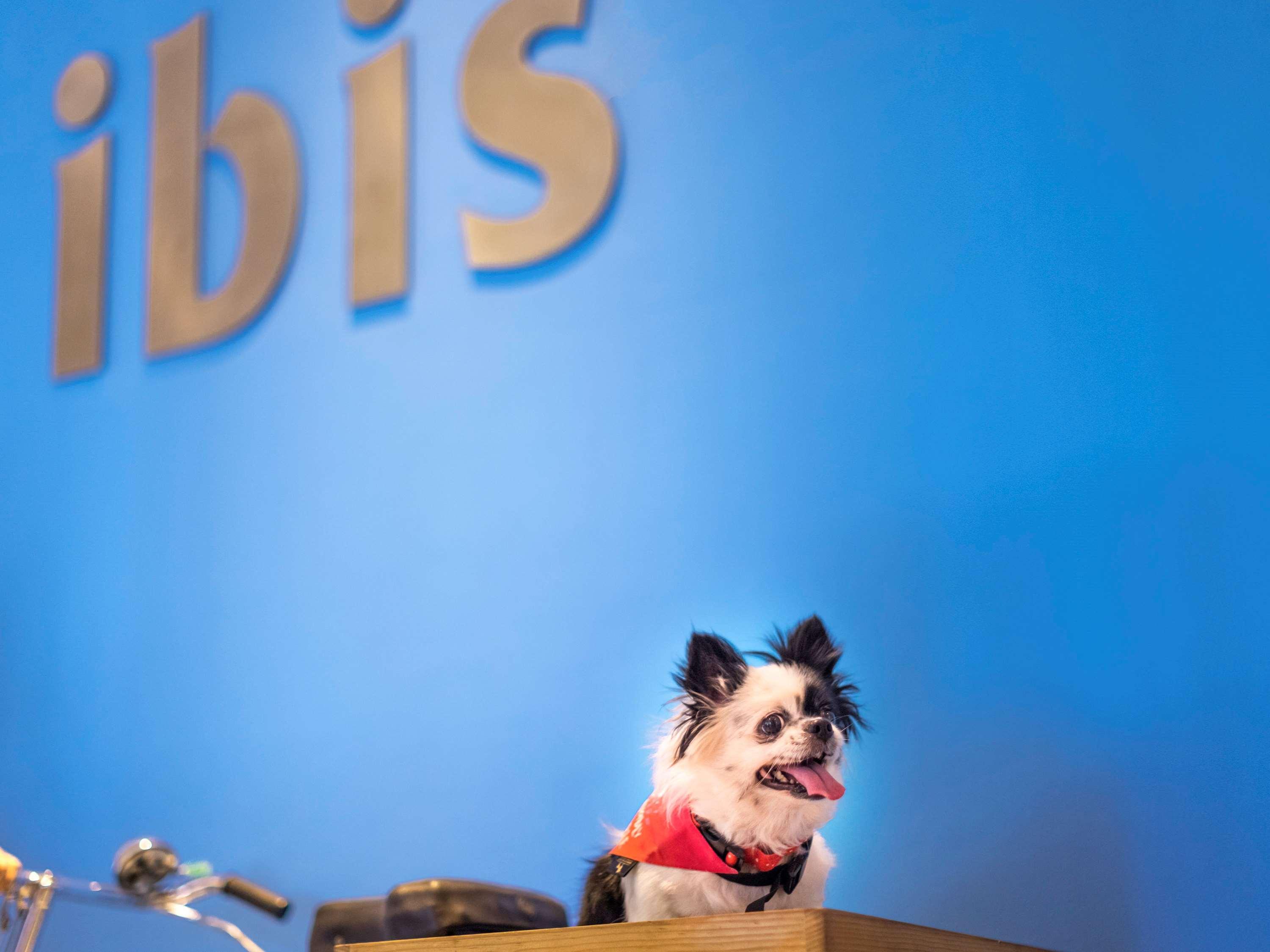 ibis Bengaluru Hosur Road - An AccorHotels Brand Exterior foto